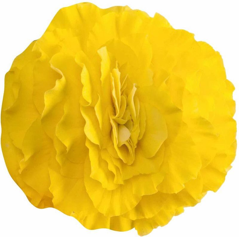 CYBEXIS Begonia Flower Seeds-Yellow Seed  (1 g)