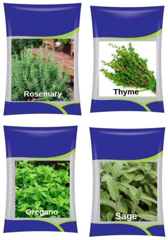 VibeX Rosemary, Thyme, Oregano, Sage Seed  (20 per packet)