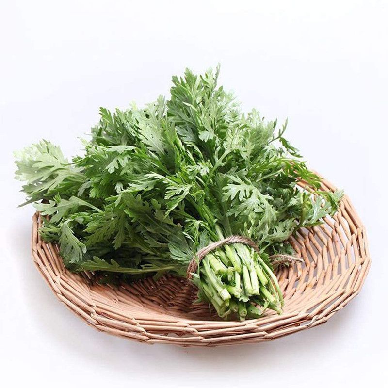 CYBEXIS Crown Daisy Chrysanthemum coronarium Edible Organic Green Daisy Flower Seed  (25 per packet)
