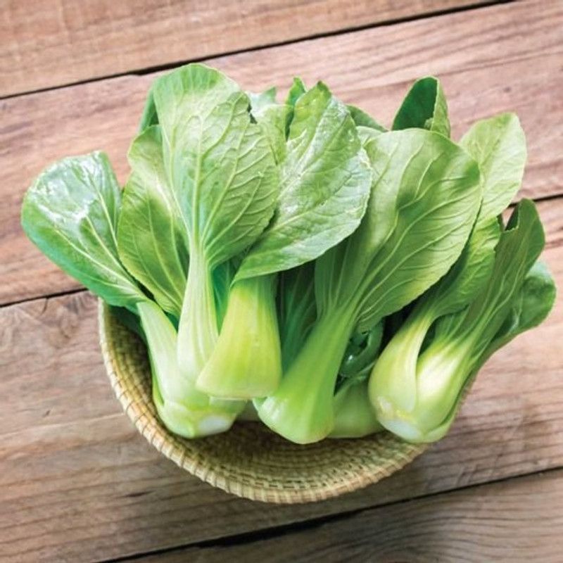 XOLDA Pak Choi/Bok choy Seed  (20 per packet)
