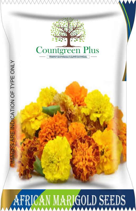 Countgreen Plus African Marigold (Genda) Flower Seeds Seed  (200 per packet)