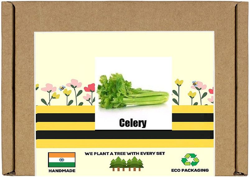 CYBEXIS F1 Hybrid Green Celery Seeds2800 Seeds Seed  (2800 per packet)