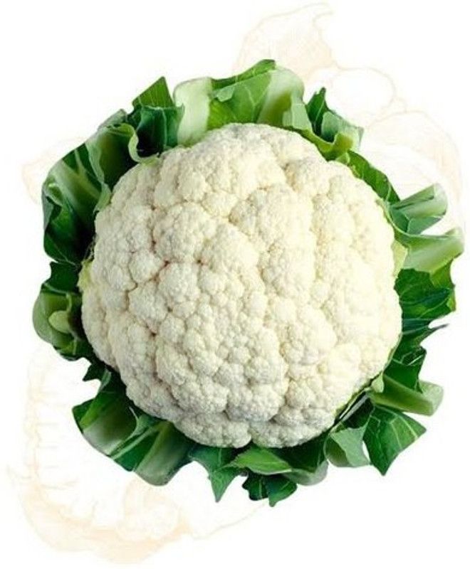 XOLDA Cauli Flower Seed  (33 per packet)