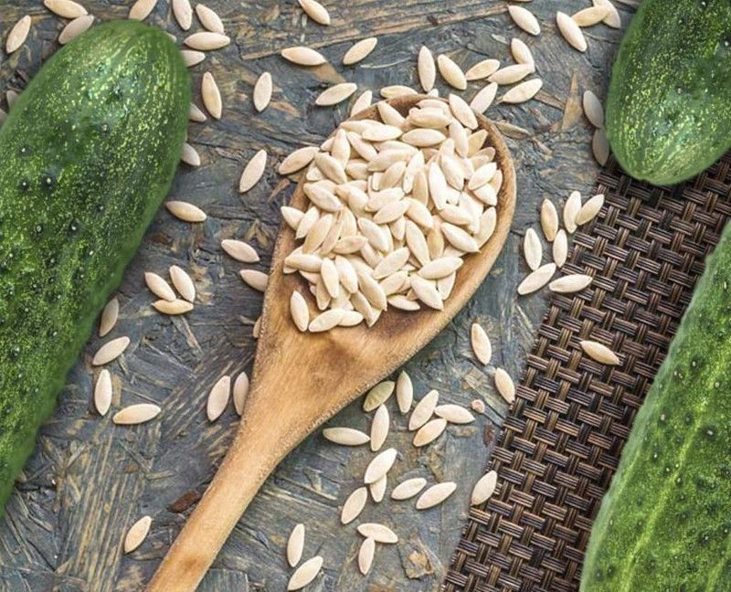 PMB Cucumber Seed  (15 per packet)