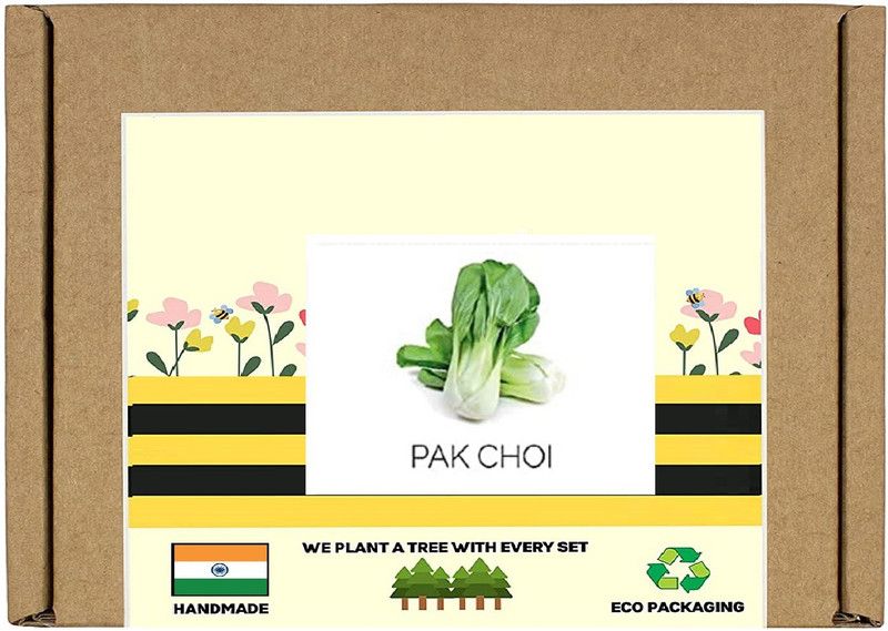 Qualtivate ™ F1 Hybrid Pak Choi Seeds(375 Seeds) Seed  (375 per packet)