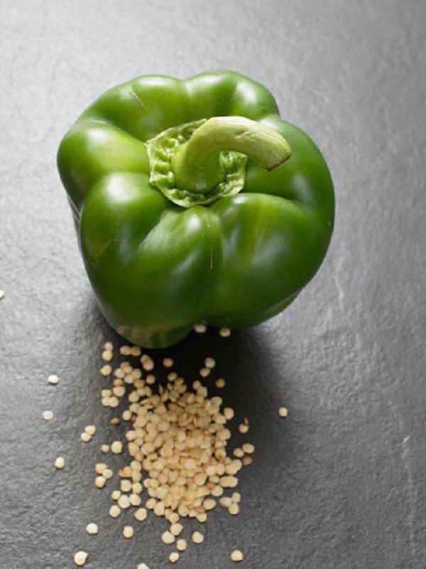 Xesas Capsicum green Seed  (120 per packet)