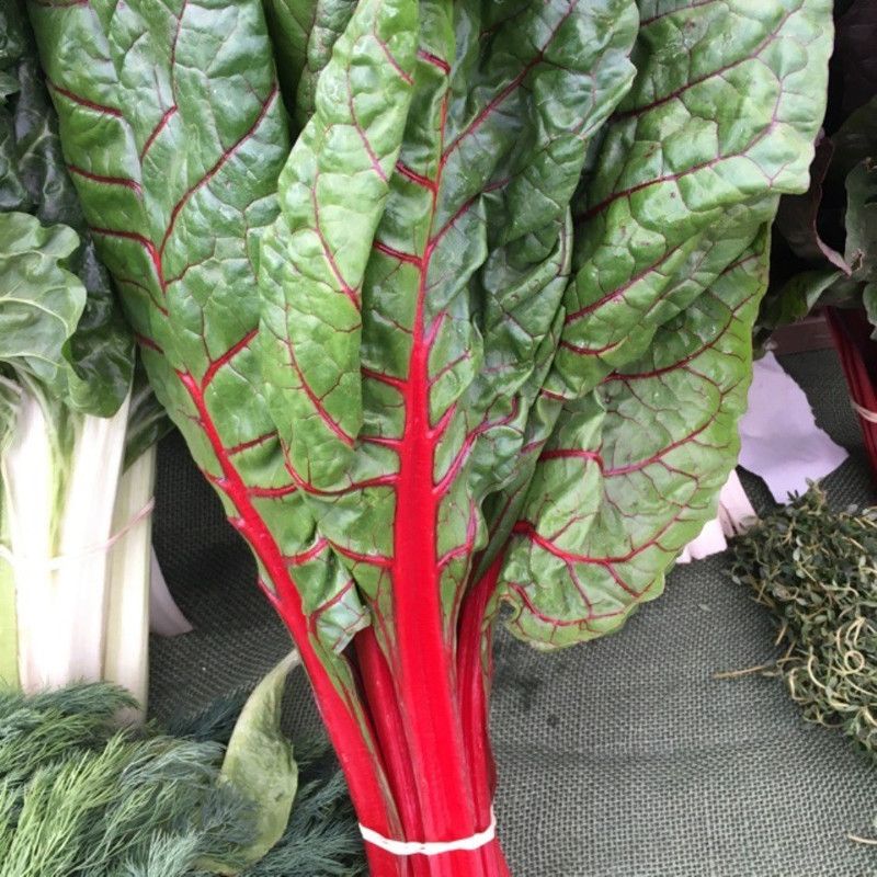 PMB Swiss chard red Seed  (25 per packet)
