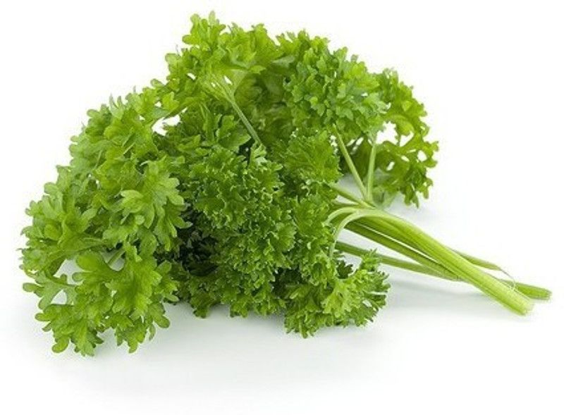 xolda Parsley Seed  (29 per packet)
