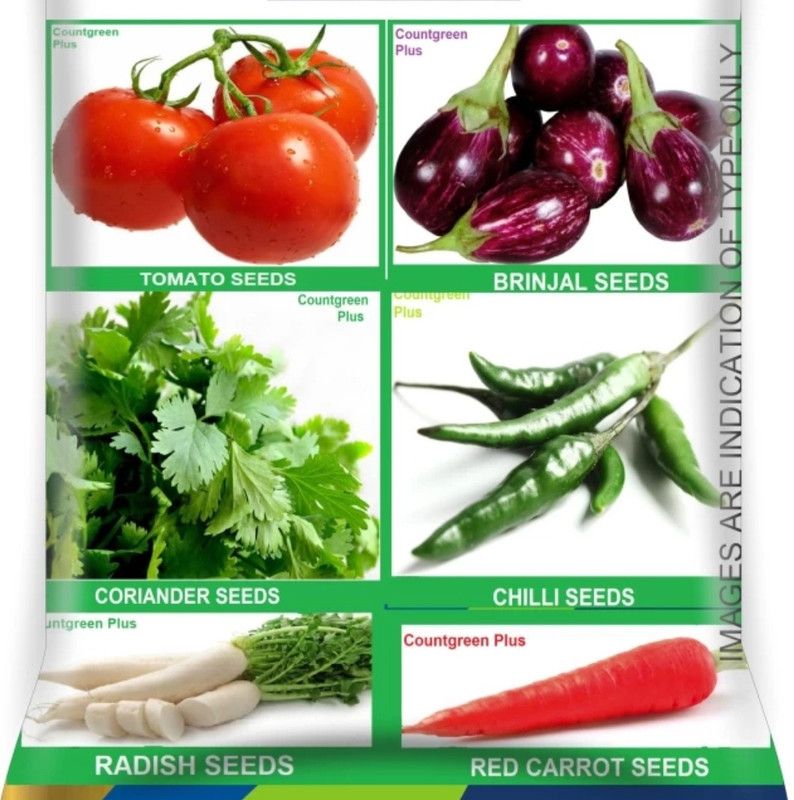 Prefect Vegetable Seeds (Hybrid/Organic) Combo 6 Varieties Garden Pack Seed  (10 per packet)