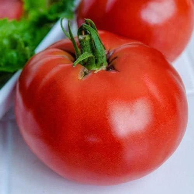 WILLVINE LX-948 Marglobe Tomato Seeds Seed  (200 per packet)