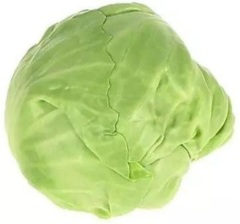 MYLAWN Green Cabbage (पत्ता गोभी के बीज) Seed  (100 per packet)
