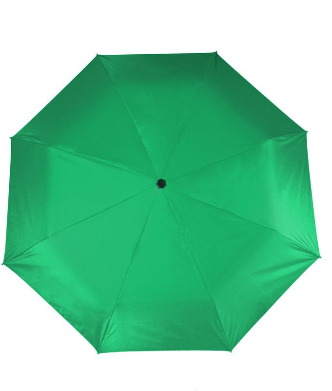 Flipkart SmartBuy 2 fold Auto Open Nylon Umbrella  (Green)