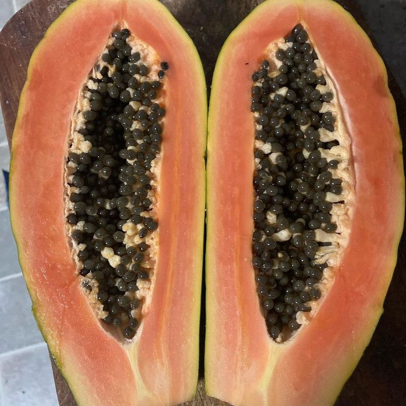 KLARKEE Florida Royale Papaya Seeds Seed  (300 per packet)