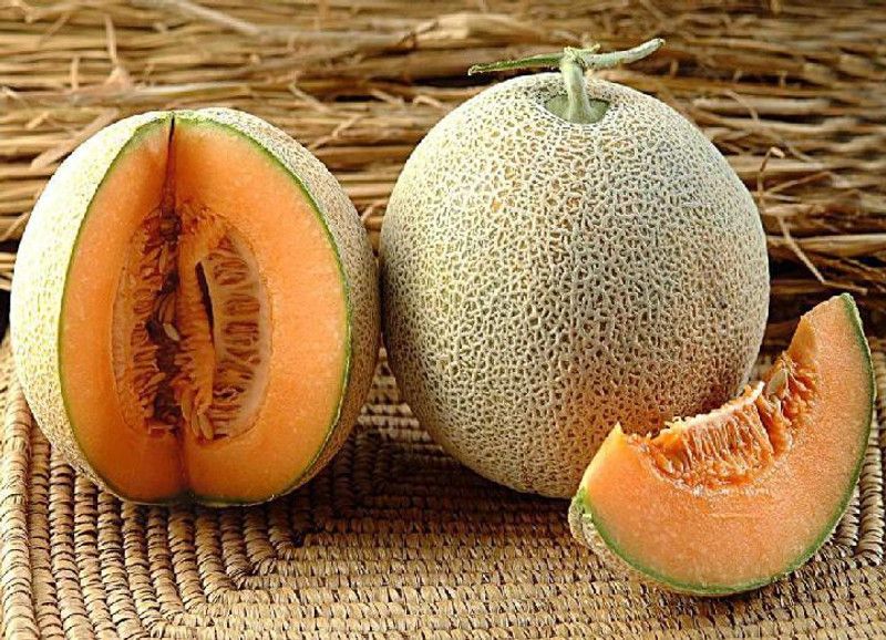 PLANTZON Muskmelon Hybrid Seed  (35 per packet)