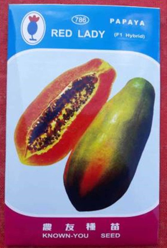FRESH SEEDS Red Lady Papaya 786 Seeds ( 280 Seeds ) Seed  (280 per packet)