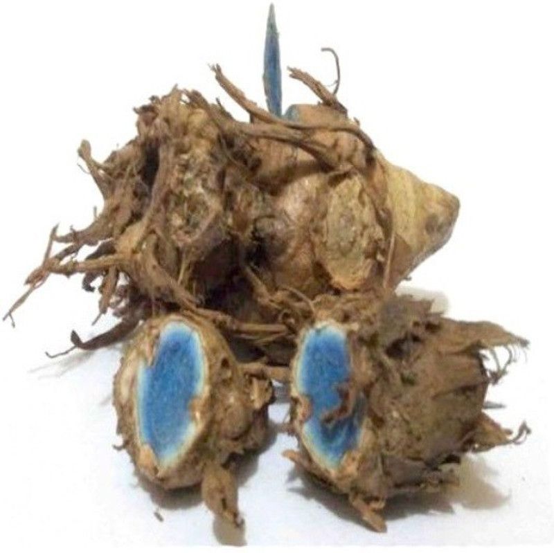 Pioneer Natural Black Turmeric, Kali Haldi, Nalla Pasupu, Curcuma caesia Seed  (7 per packet)