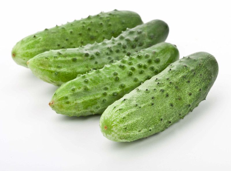 motrex HYBRID CUCUMBER SEEDS Seed  (300 per packet)