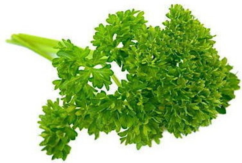 xolda Parsley Seed  (44 per packet)