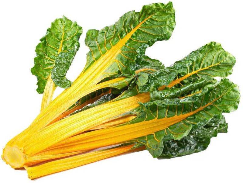 Nodoc Swiss Chard Yellow Seed  (33 per packet)