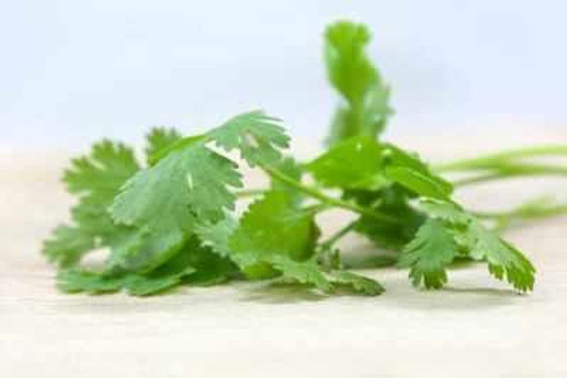 Mozette Organic Coriander Seed  (37 per packet)