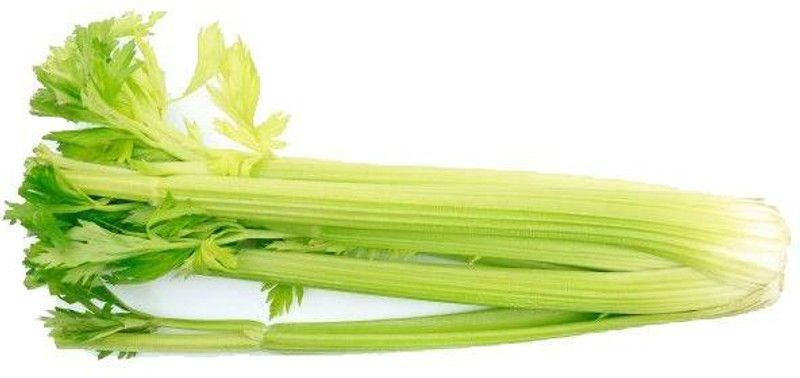 Nodoc Organic Celery Seed  (21 per packet)