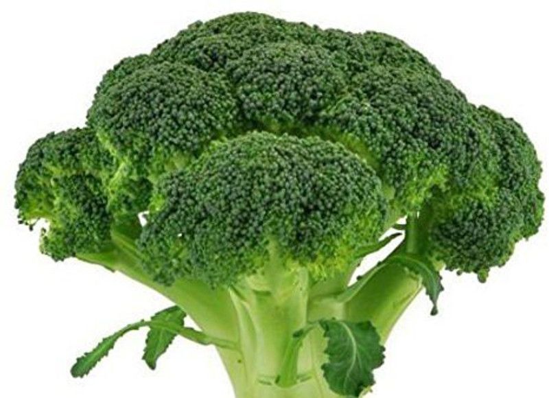 KANAYA Brocoli Seeds For Home Gardening Seed  (70 per packet)