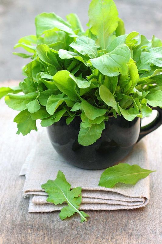 Paudha Rocket Leaf Arugula Seed  (25 per packet)