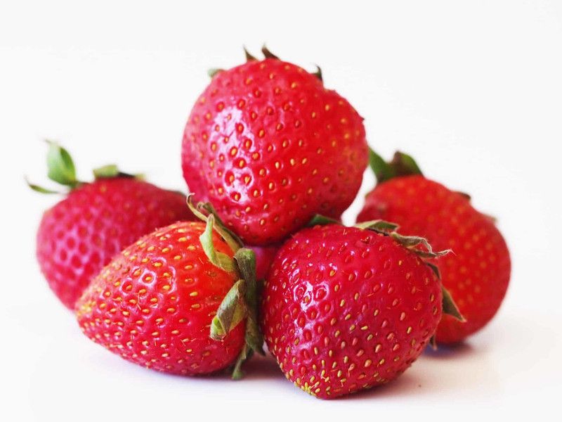 XOLDA Strawberry Hybrid Fruit Seed  (17 per packet)