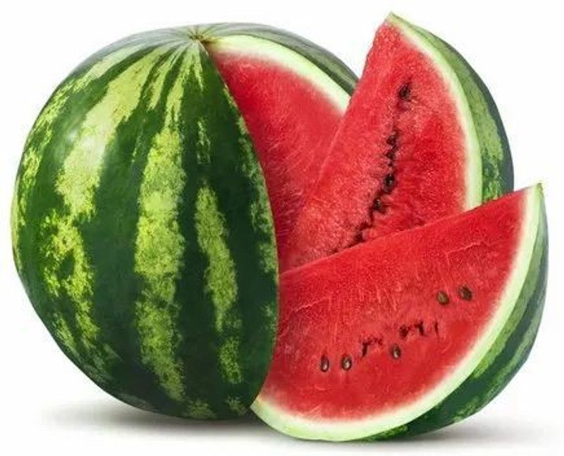 Nodoc Watermelon Seed  (19 per packet)