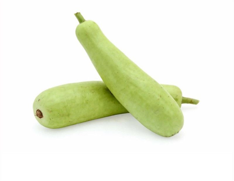 UGRA Bottle Gourd (Long Melon/Kaddu) Seed  (80 per packet)