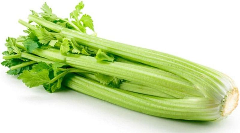 VibeX ® VMR-130 Tall Utah 52/70 Celery Seed  (500 per packet)