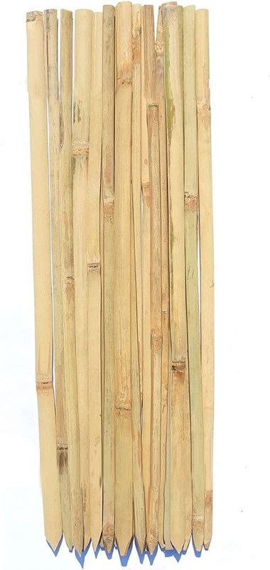 igi 2.2 feet Plant Straightener  (Pack of 10)