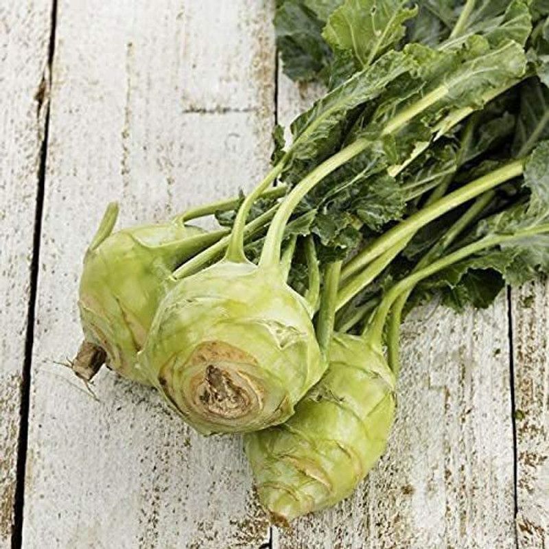 KANAYA Knol Khol Seed  (800 per packet)