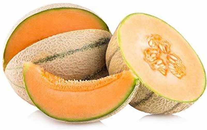 JRYU Muskmelon Seed  (375 per packet)