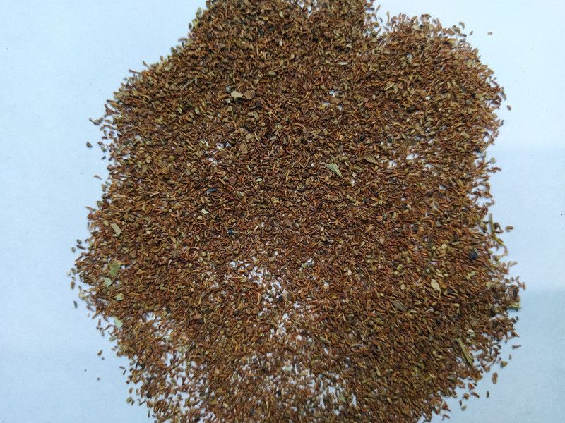 EasySeeds Eucalyptus,Safeda, Forest Red Gum, Eucalli Seed  (75 g)