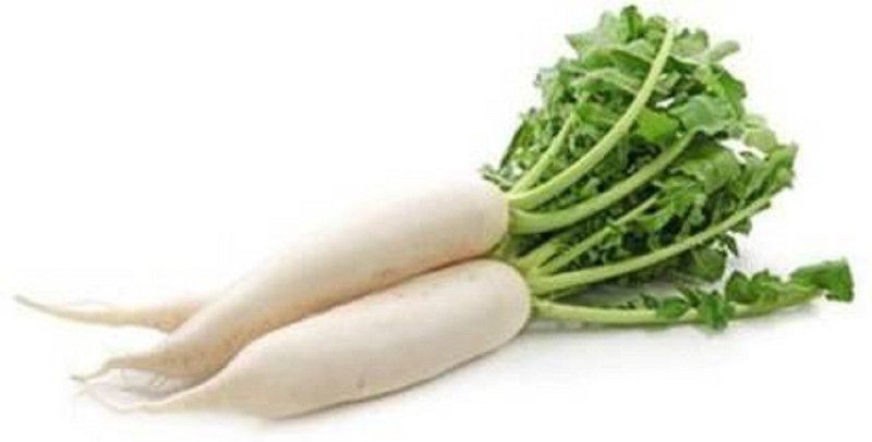 Countgreen Plus Radish Vegetable Seed Seed  (15 per packet)