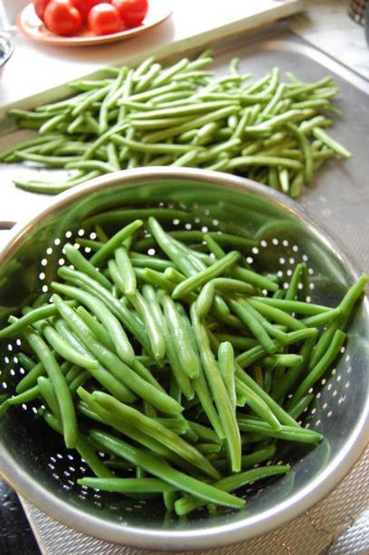 Splorias F1 CLUSTER BEANS Seed  (50 per packet)