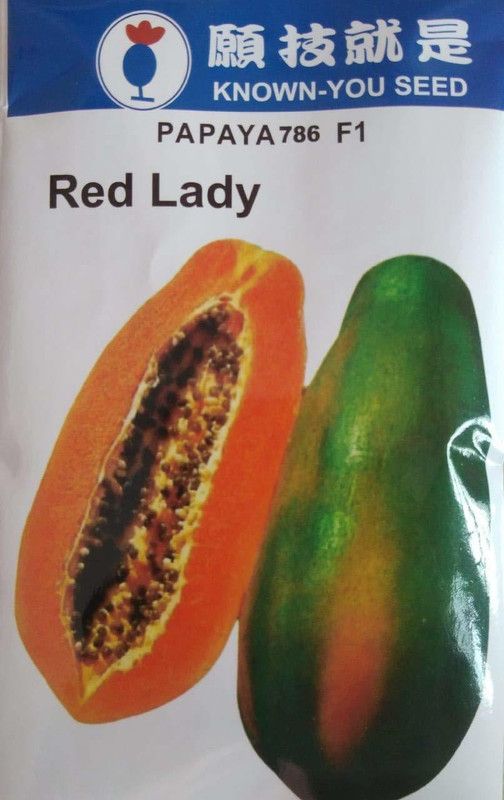 PEARL RED LADY PAPAYA 786 F1 HYBRID SEEDS TAIWAN Seed  (100 per packet)