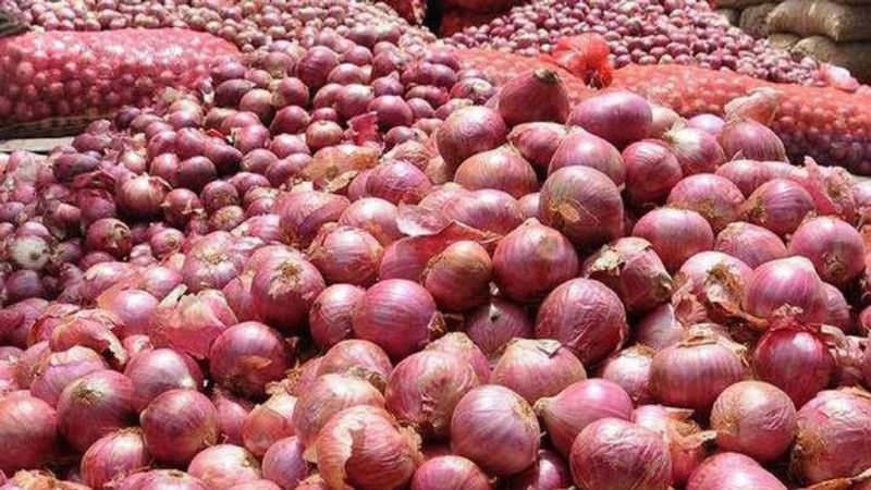 Paudha Onion Seed  (44 per packet)