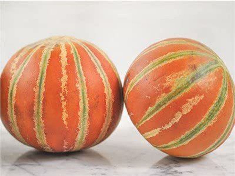 JRYU Kharbuja F1 Hybrid Seed  (10 per packet)