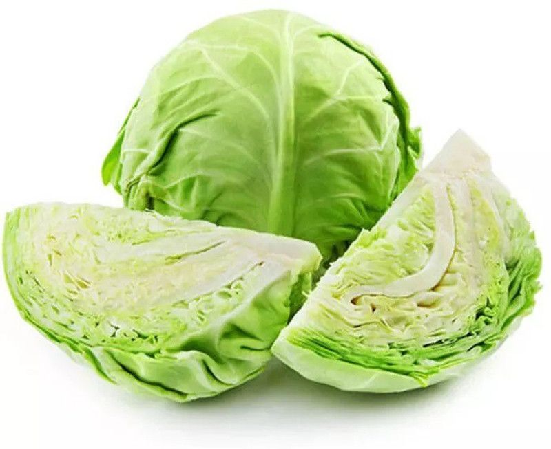 MYLAWN Cabbage Green Vegetables Seed  (800 per packet)