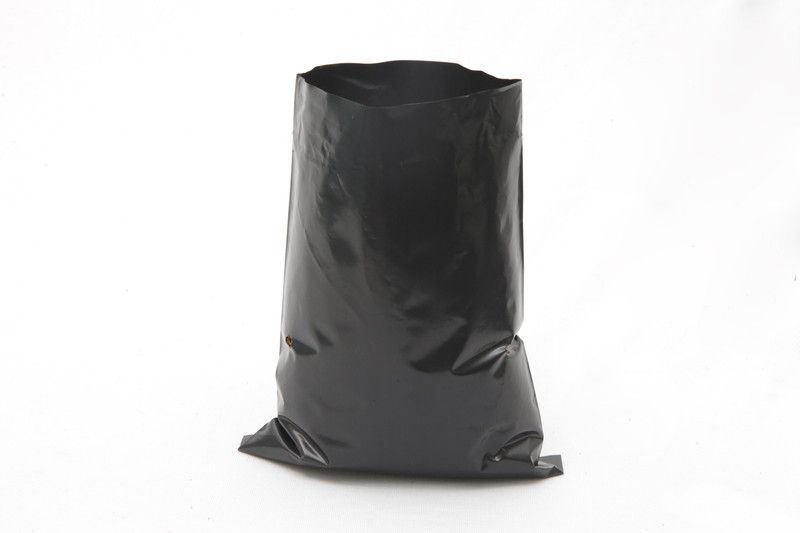 bio blooms GARDENING NURSERY COVER BLACK 4" X 6" (PACK 100) Grow Bag