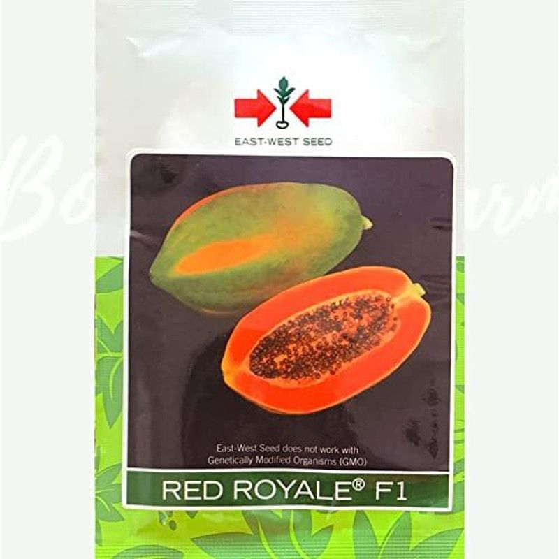 THAMMAR RED ROYAL variety Seeds F1 Hybrid Seed (500Seeds ) Seed (500 per packet) Seed  (500 per packet)