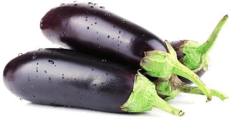 Paudha Brinjal Long Seed  (43 per packet)