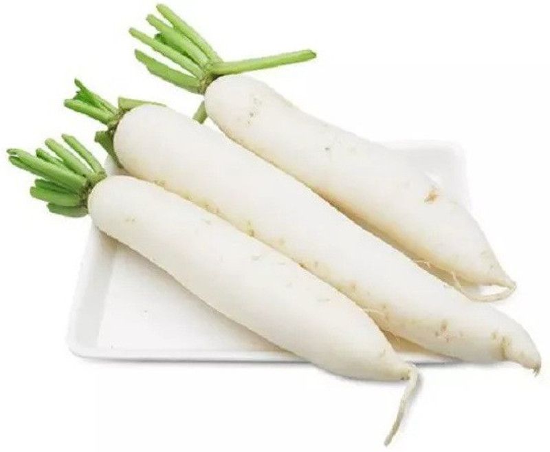 VINTI Mooli radish Vegetable Seed  (2500 per packet)