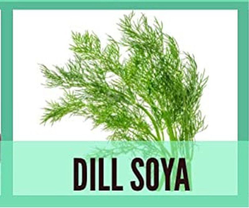 Qualtivate ™ Organic Dill Soya Seeds(500 Seeds) Seed  (500 per packet)