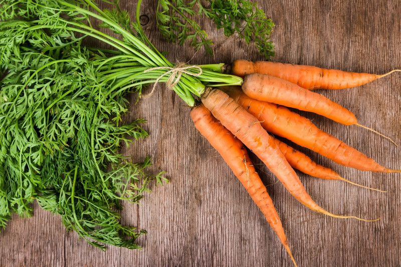 Mozette Carrot Seed  (19 per packet)