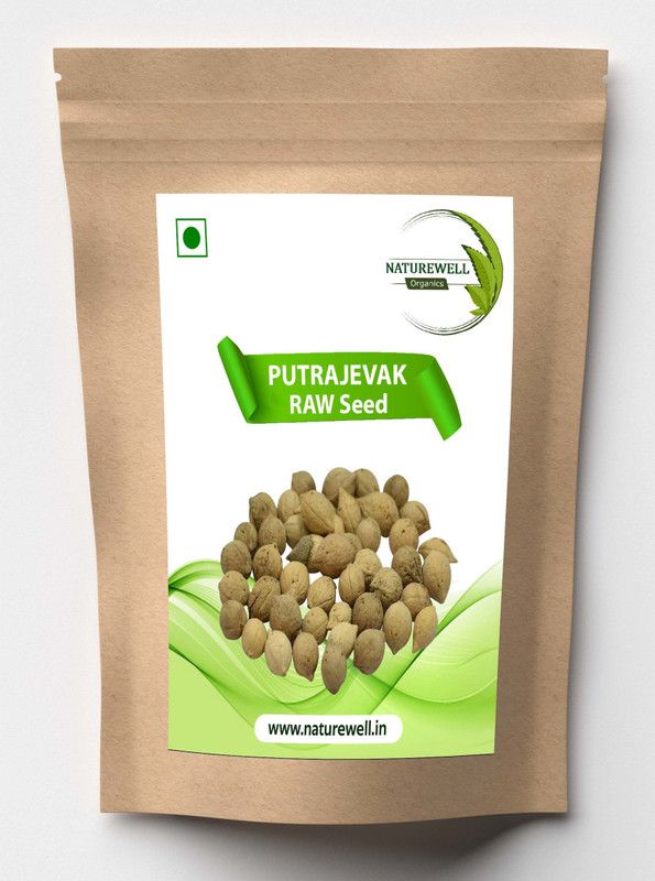 Naturewell Putrajeevak Beej / Putrajivak Seeds /Jiyapota (Karupala)for infertility and uterus related problems 250 gram Pack Seed  (250 per packet)