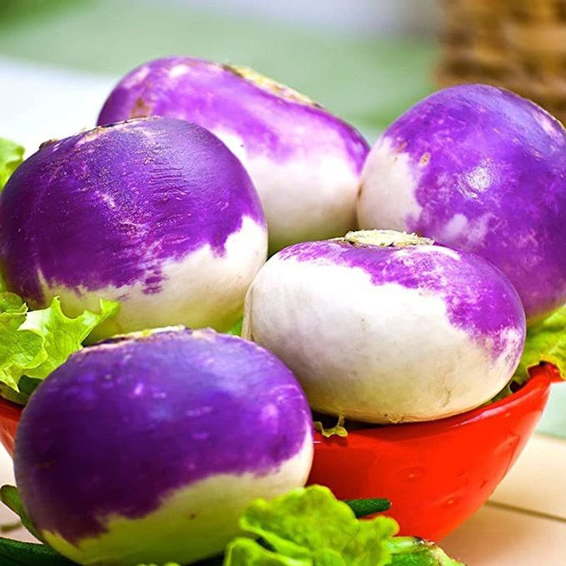 KANAYA Turnip (Shalgam ke Beej) Hybrid Vegetable Seed  (100 per packet)
