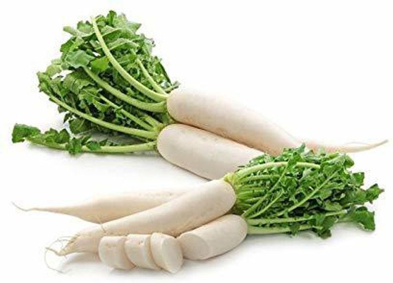 Nodoc Radish Seed  (78 per packet)